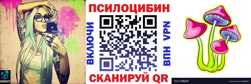 дарк нет наркотические препараты  где купить наркоту  Ильский  Псилоцибиновые грибы Psilocybine cubensis  гидра зеркало 
